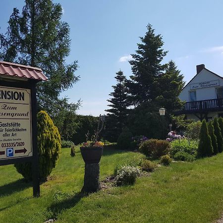 Pension Zum Wiesengrund Frauenhagen Exterior photo